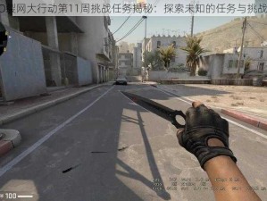 CSGO裂网大行动第11周挑战任务揭秘：探索未知的任务与挑战详解