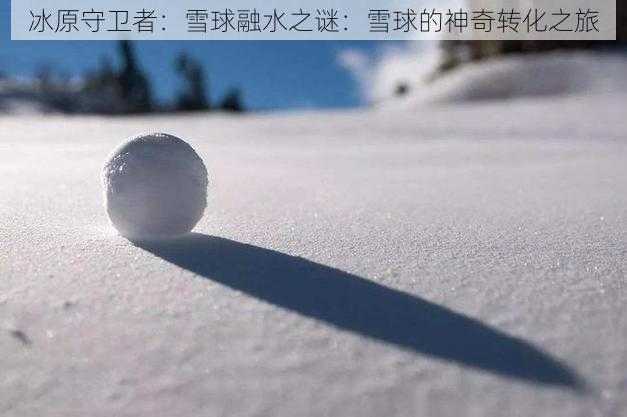 冰原守卫者：雪球融水之谜：雪球的神奇转化之旅