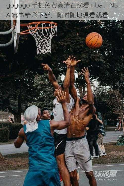 gogogo 手机免费高清在线看 nba，NBA 赛事精彩不断，随时随地想看就看